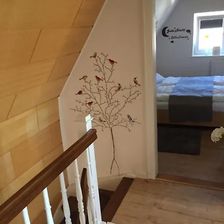 Zimmermann Tatil Evi *